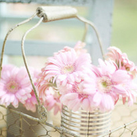 唯美意境图片清新淡雅头像(15张)