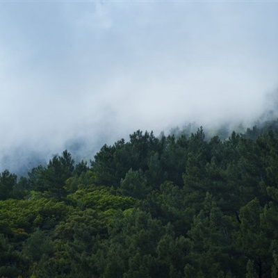 微信头像云雾缭绕图片(24张)