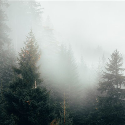 微信头像云雾缭绕图片(24张)