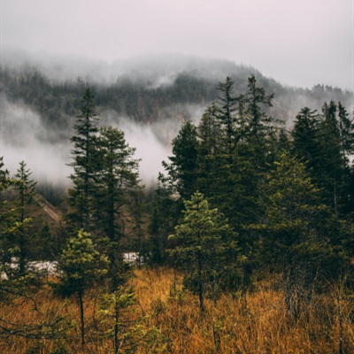 微信头像云雾缭绕图片(24张)