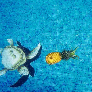 夏季清凉的微信头像(精选12张)