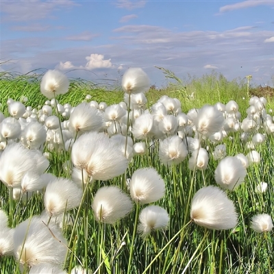 夏天风景头像(精选21张)