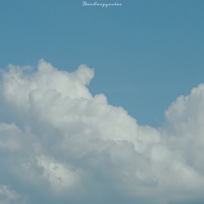 夏天风景头像(精选21张)