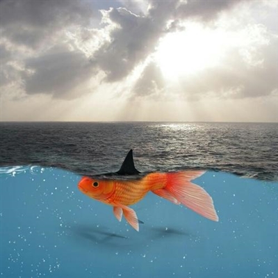 运气越来越好的微信头像男(21张)