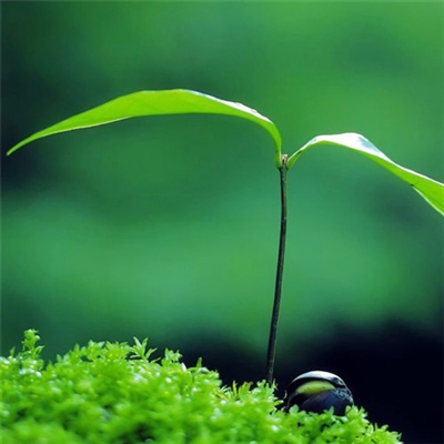 充满阳光的图片头像(24张)