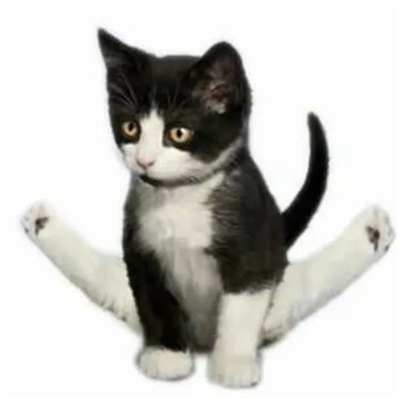 2023微信卡通头像可爱图片(精选24张)