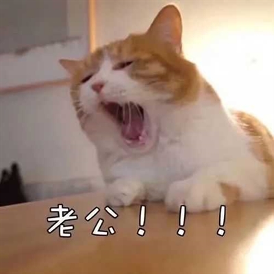 微信男女情侣头像(16张)