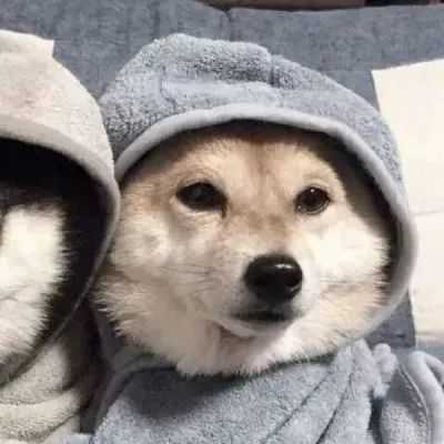 微信男女情侣头像(16张)