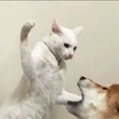 恶搞的情侣头像一对两张图片(22张)