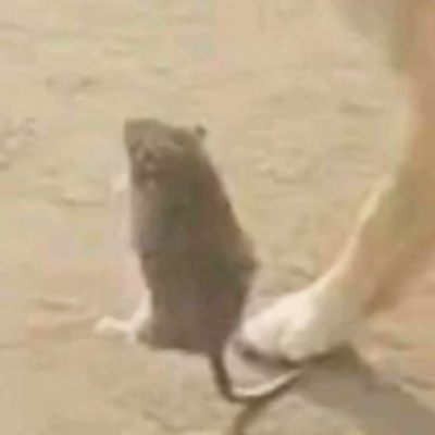 恶搞的情侣头像一对两张图片(22张)