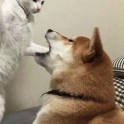 恶搞的情侣头像一对两张图片(22张)