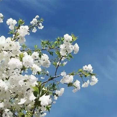 好运气的风景图片头像大全(24张)