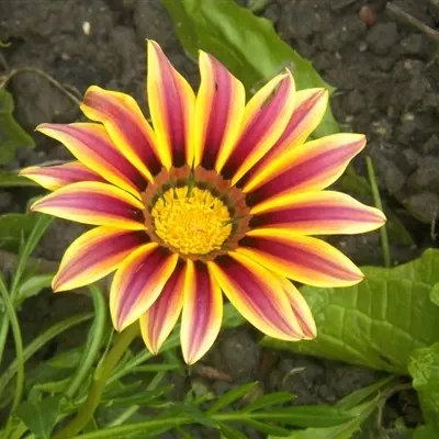 干净又好看的气质头像(精选20张)