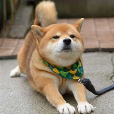 既惊艳又耐看的头像(精选20张)