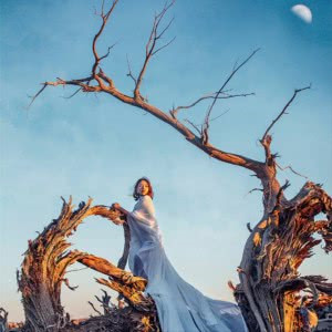 意境有品位的微信头像(24张)