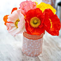 风景花草的微信头像(34张)