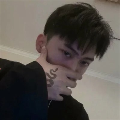 2023图片大全好看头像男(24张)