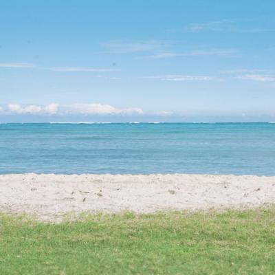 简单干净好看头像2023(精选24张)