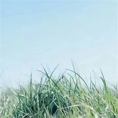 简单干净好看头像2023(精选24张)