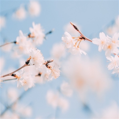 永久吸引人的微信头像(20张)