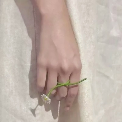 只有一只手的头像(24张)