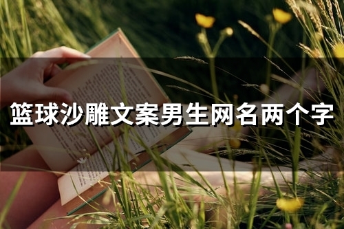 篮球沙雕文案男生网名两个字(109个) 篮球沙雕文案男生网名两个字(109个)