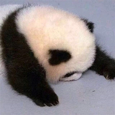 沙雕又好看的头像(精选18张)