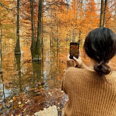 女生高质量精美惊艳头像(优选24张)
