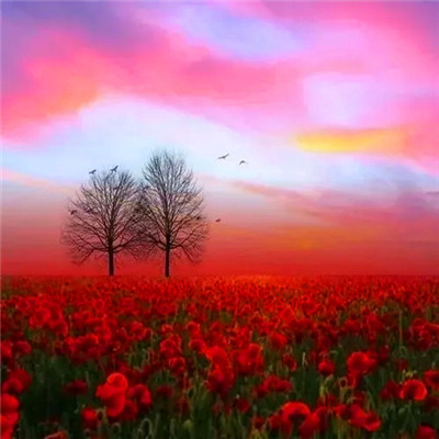 2023年运势好的头像(18张)