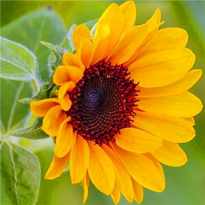 2023年运势好的头像(18张)