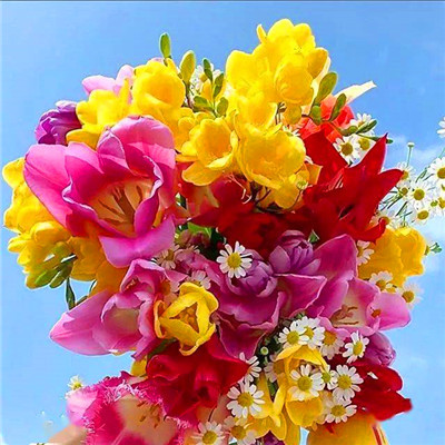 2023年运势好的头像(18张)