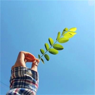 2023年运势好的头像(18张)