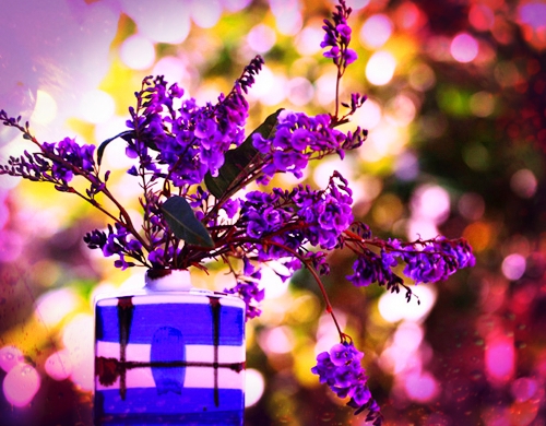 可爱妹子用的网名(共148个)