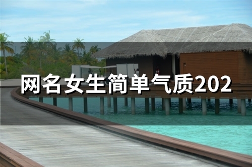网名女生简单气质2023(共117个) 网名女生简单气质2023(共117个)