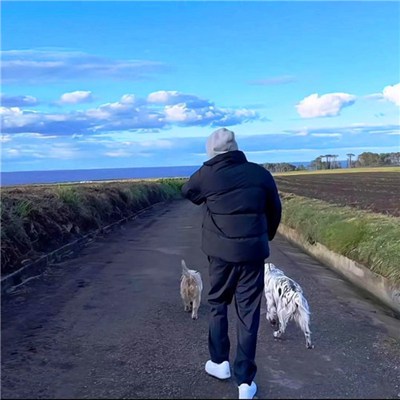 微信头像图片大全清新2023男(优选18张)