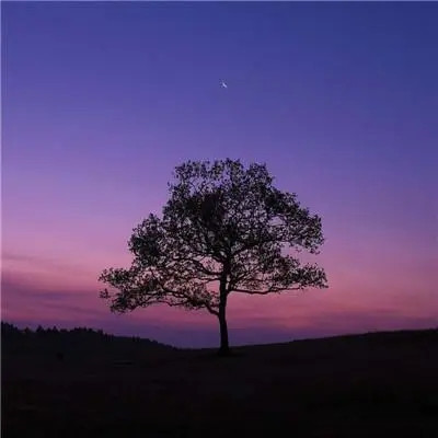 2023最红火头像(精选18张)