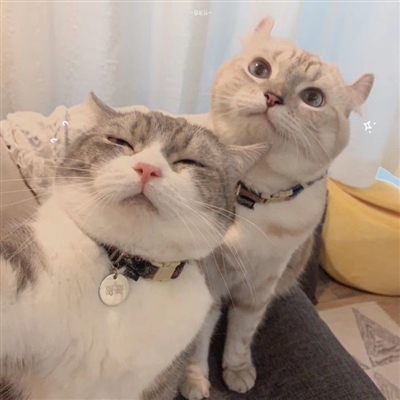 小清新学生范闺蜜贴吧头像一人一张(优选34张)