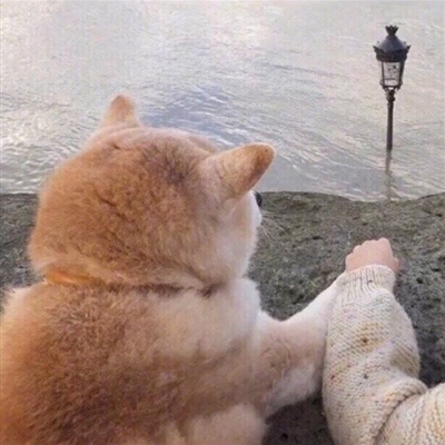 小清新学生范闺蜜贴吧头像一人一张(优选34张)