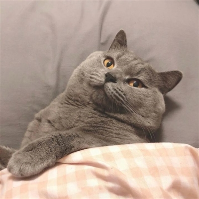 奇葩逗比情侣头像一男一女图片大全(16张)