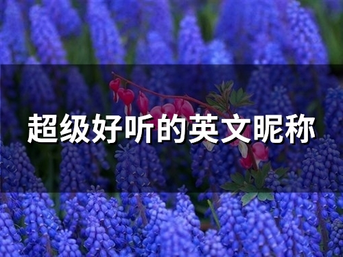 超级好听的英文昵称(95个) 超级好听的英文昵称(95个)