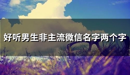 好听男生非主流微信名字两个字(精选103个) 好听男生非主流微信名字两个字(精选103个)