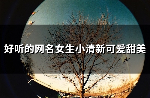 好听的网名女生小清新可爱甜美(共101个)
