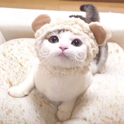 可爱到爆的情侣头像图片(精选18张)