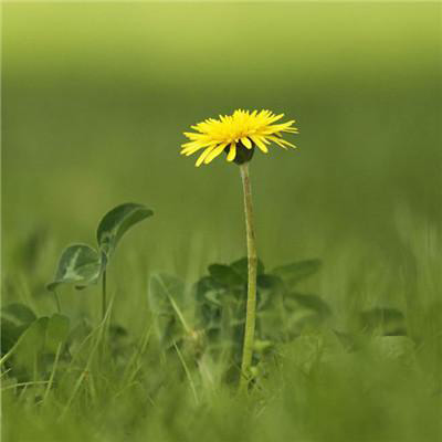 60岁老人微信头像大全(优选18张)