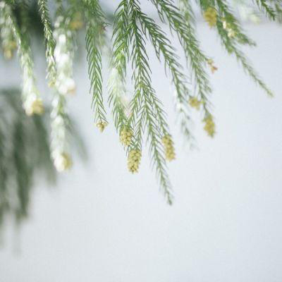 60岁老人微信头像大全(优选18张)