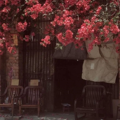 有意境的微信头像高清图片(优选18张)