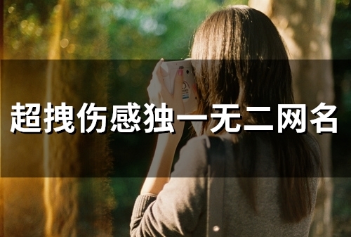 超拽伤感独一无二网名(共98个)