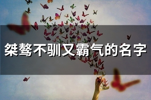 桀骜不驯又霸气的名字(共80个)