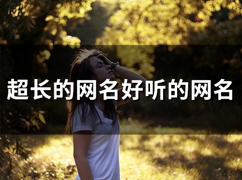 超长的网名好听的网名(87个)