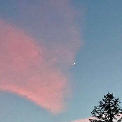 阳光温暖美好的头像(16张)